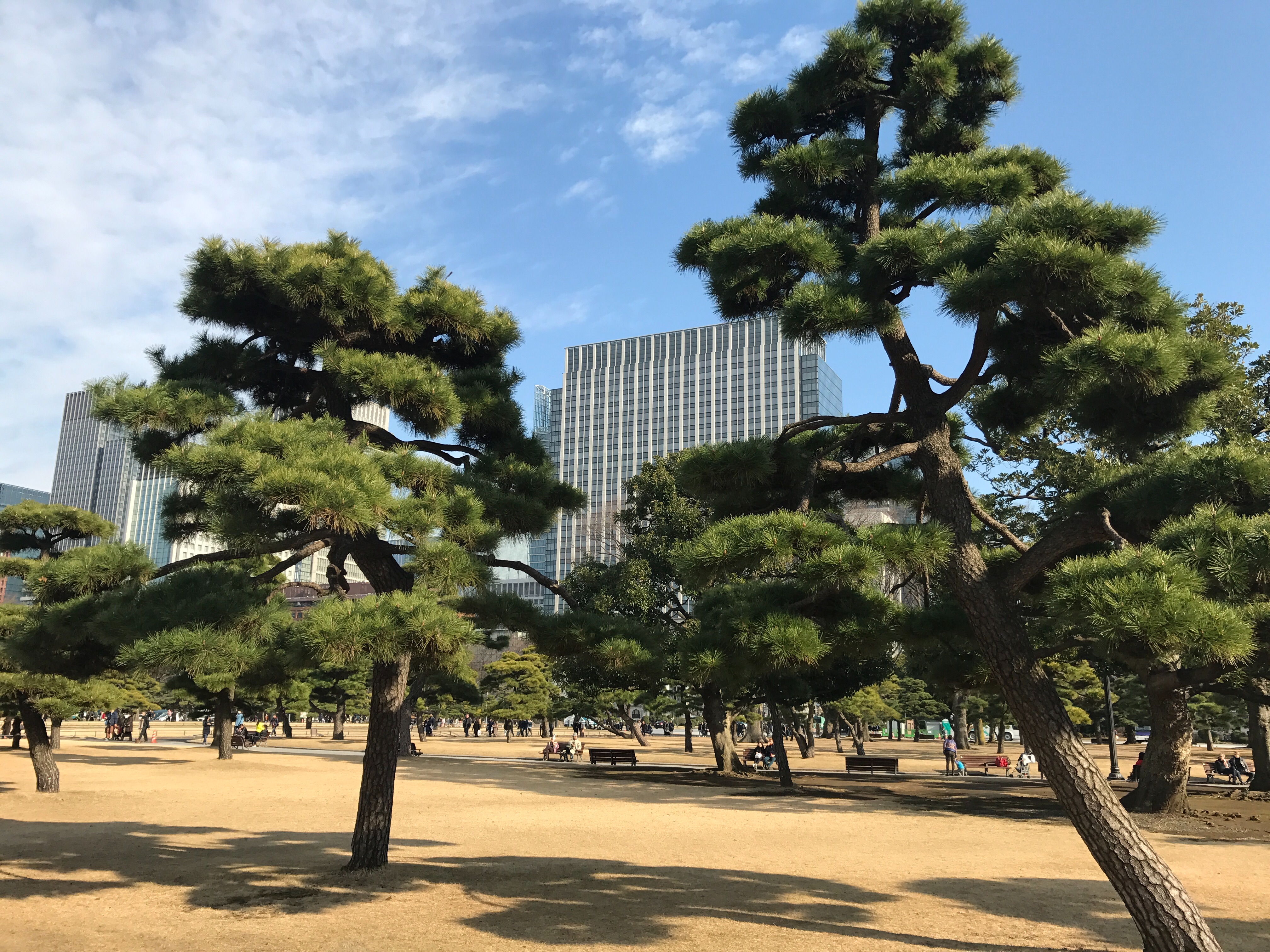 f:id:saki0118:20170105201419j:image