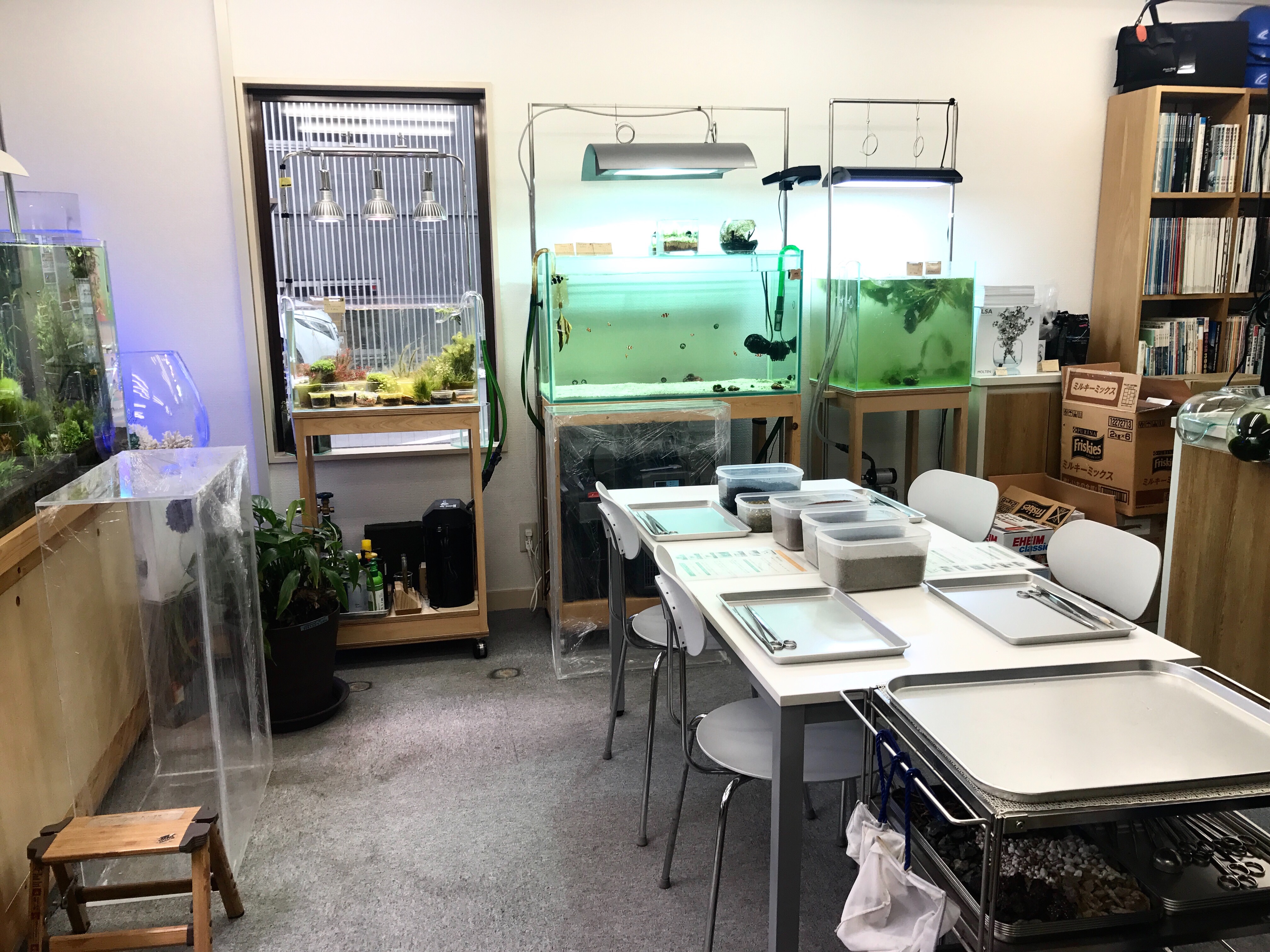 f:id:saki0118:20170129190153j:image f:id:saki0118:20170129190153j:image