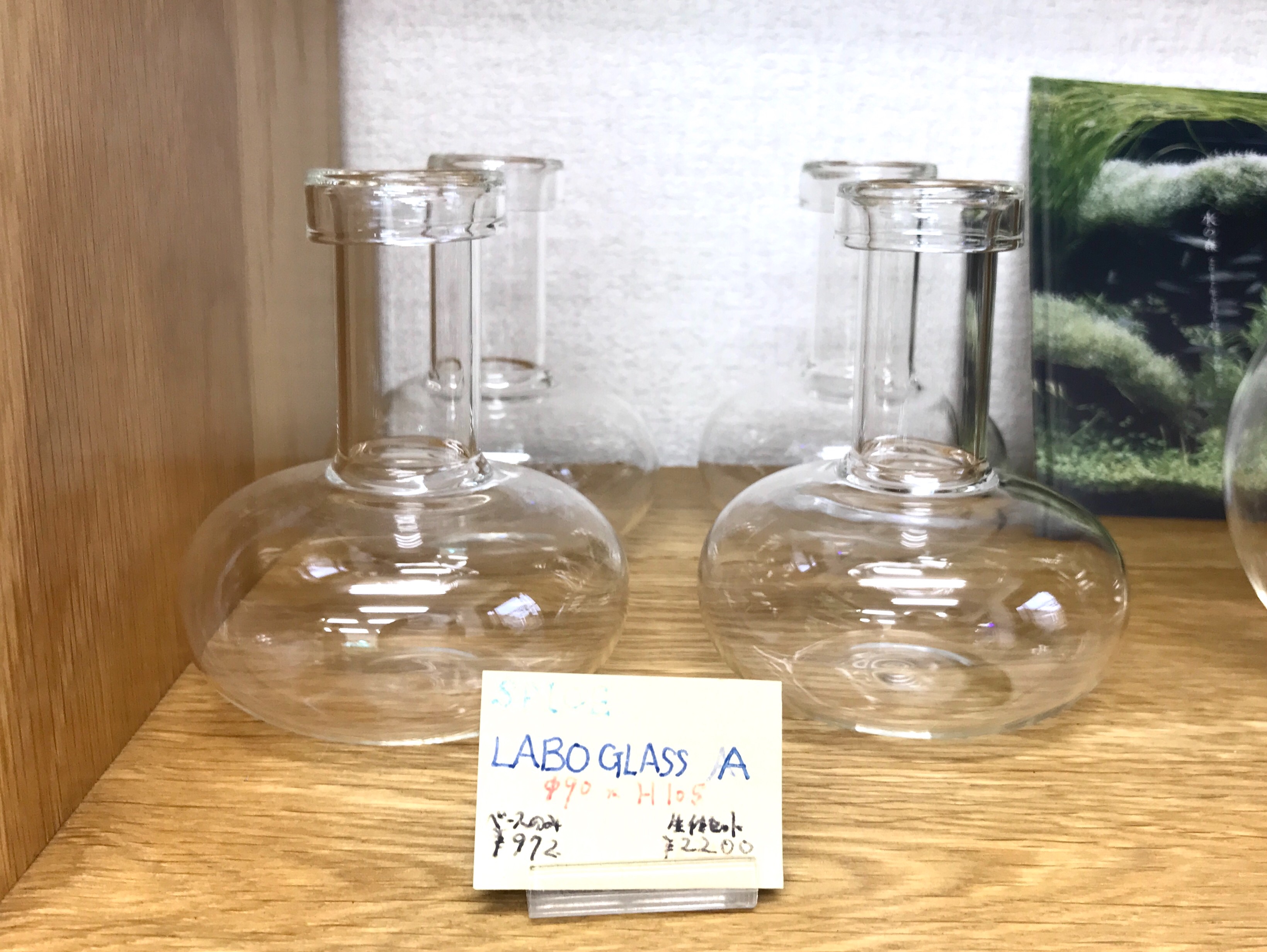 f:id:saki0118:20170129190221j:image f:id:saki0118:20170129190221j:image