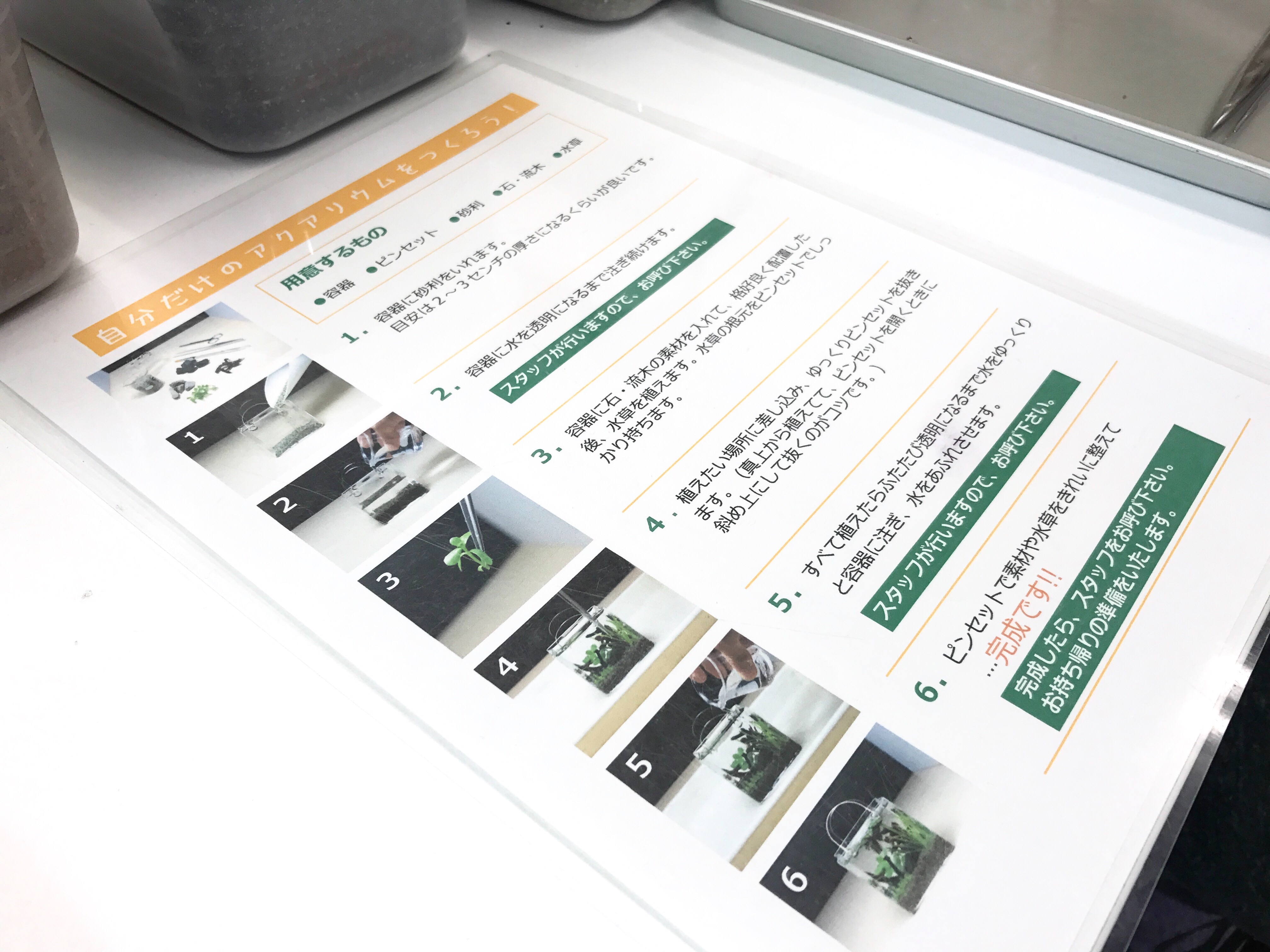 f:id:saki0118:20170129190247j:image f:id:saki0118:20170129190247j:image