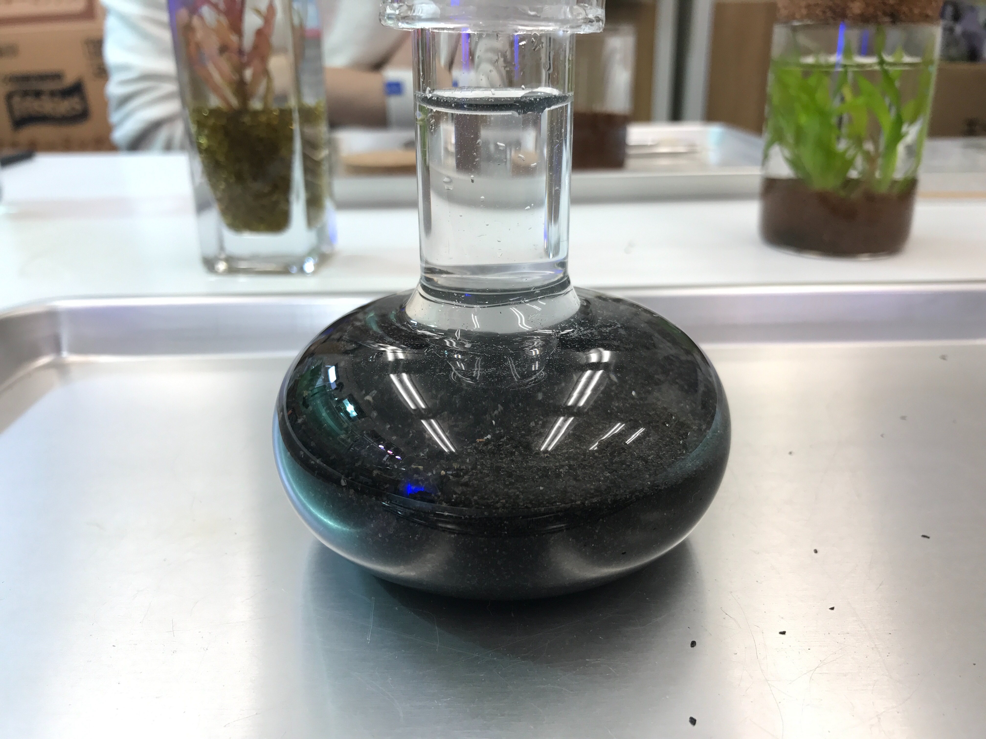 f:id:saki0118:20170129190322j:image f:id:saki0118:20170129190322j:image