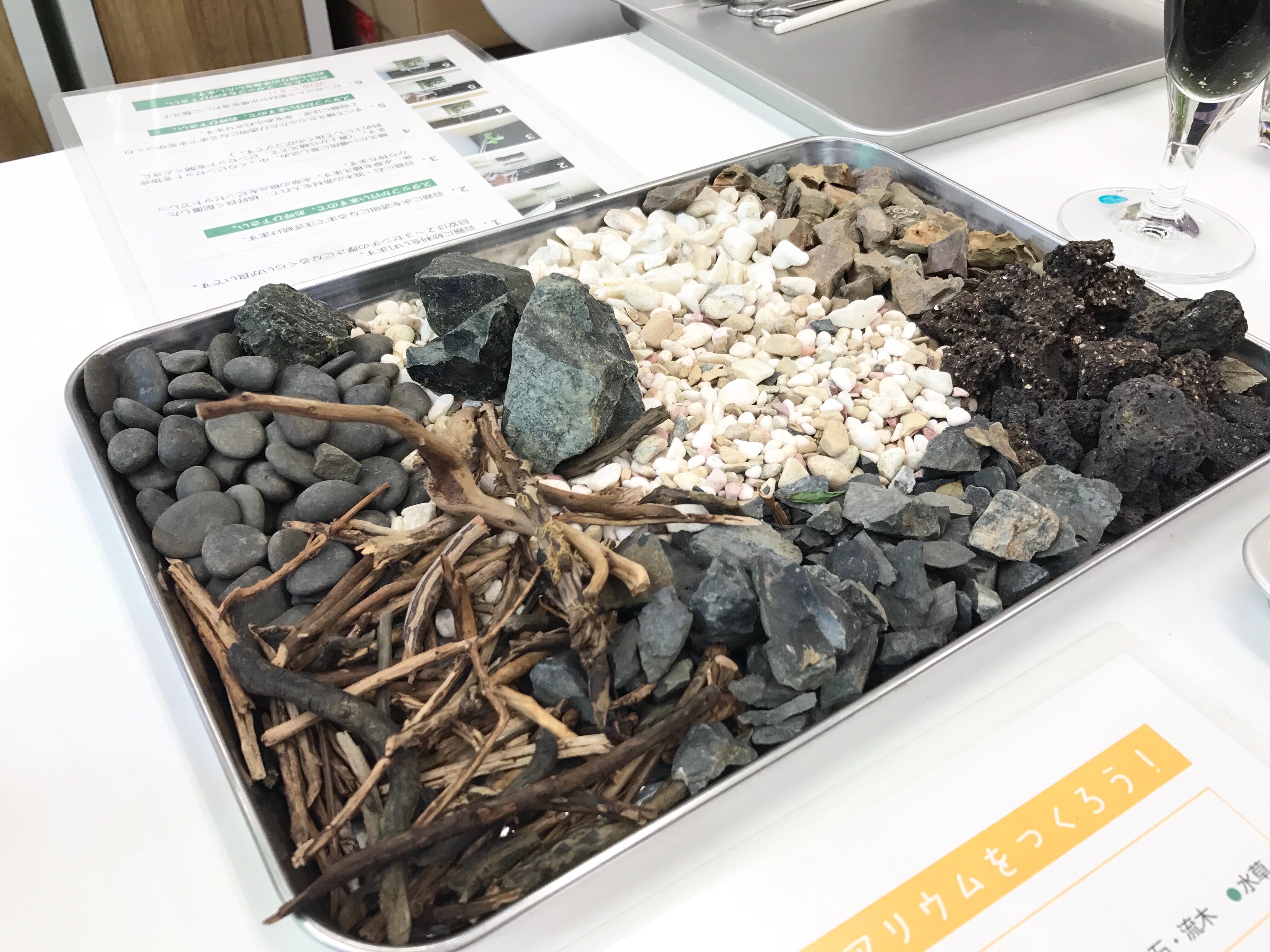 f:id:saki0118:20170129190710j:image f:id:saki0118:20170129190710j:image