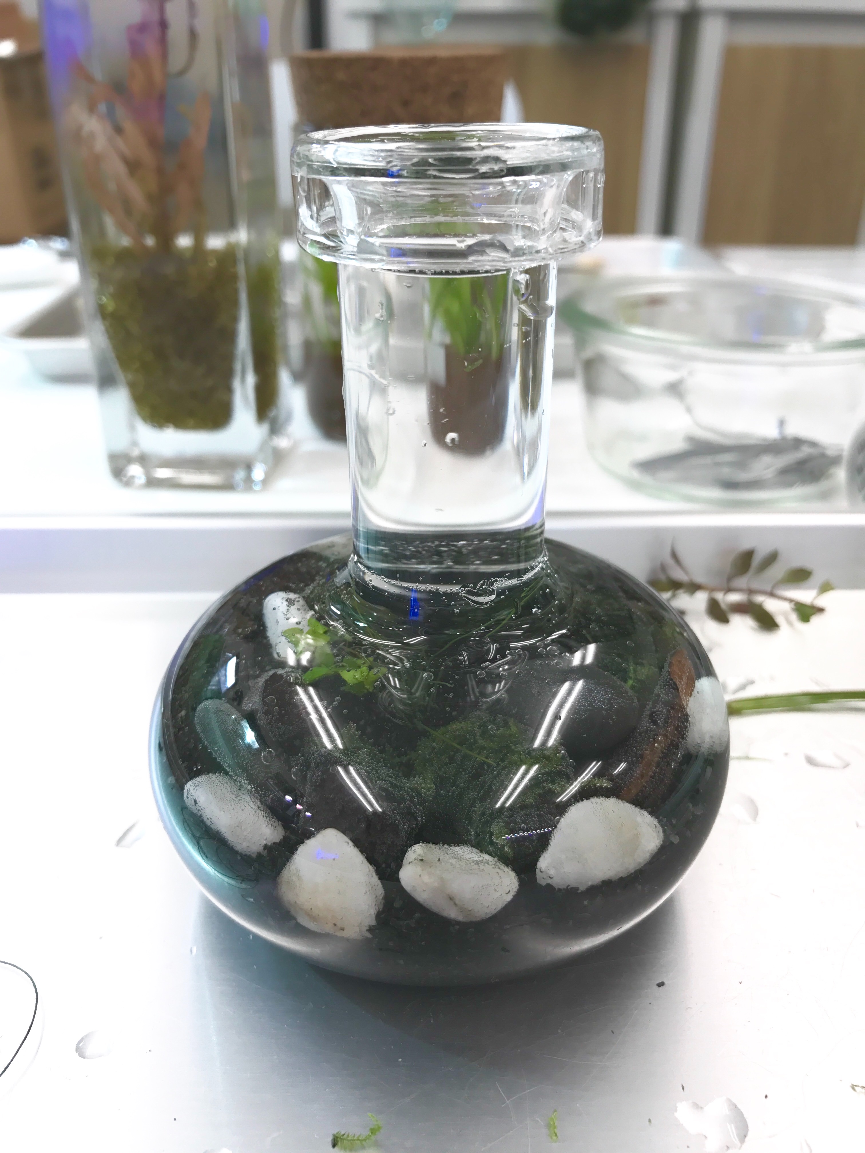 f:id:saki0118:20170129190933j:image f:id:saki0118:20170129190933j:image