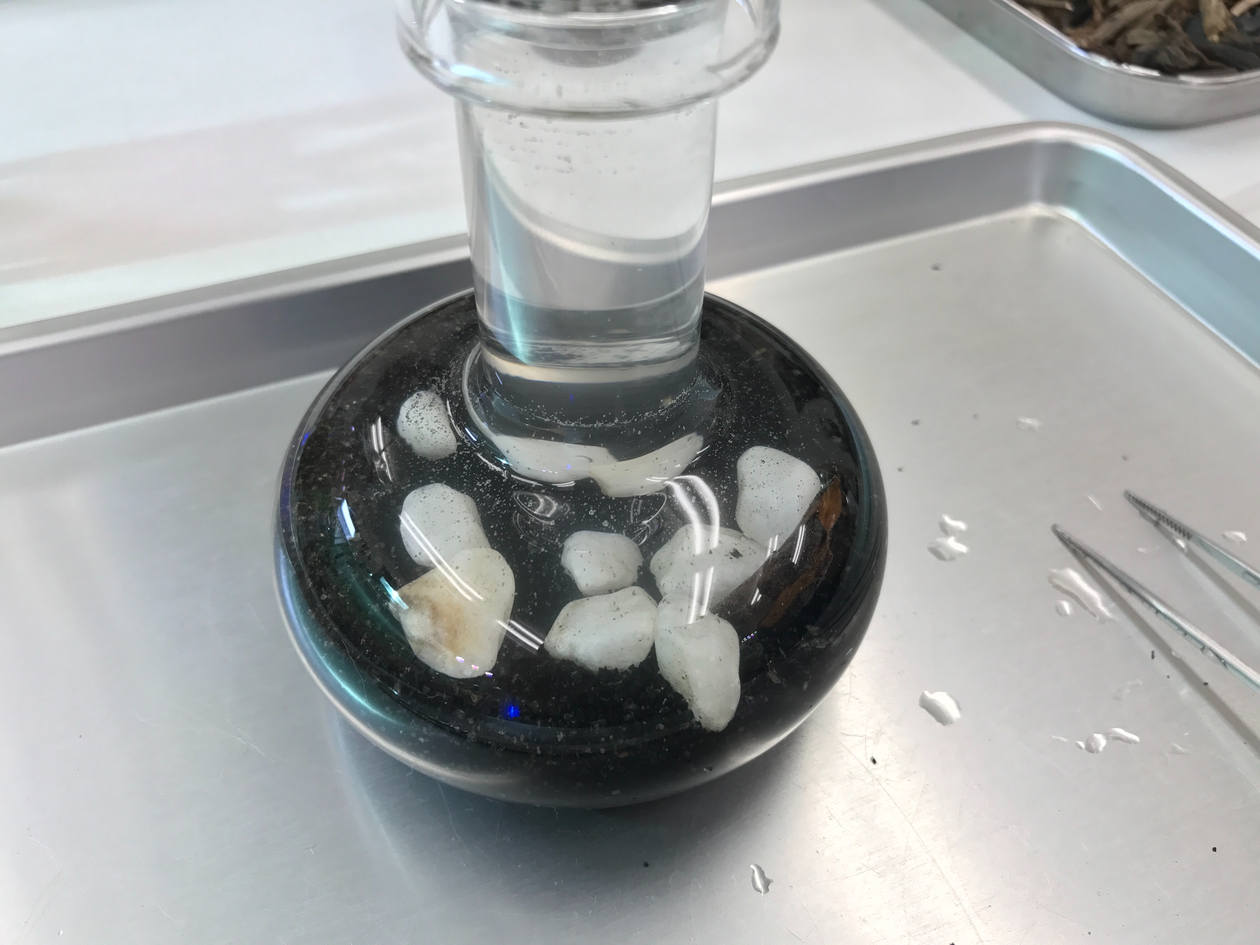 f:id:saki0118:20170129190946j:image f:id:saki0118:20170129190946j:image