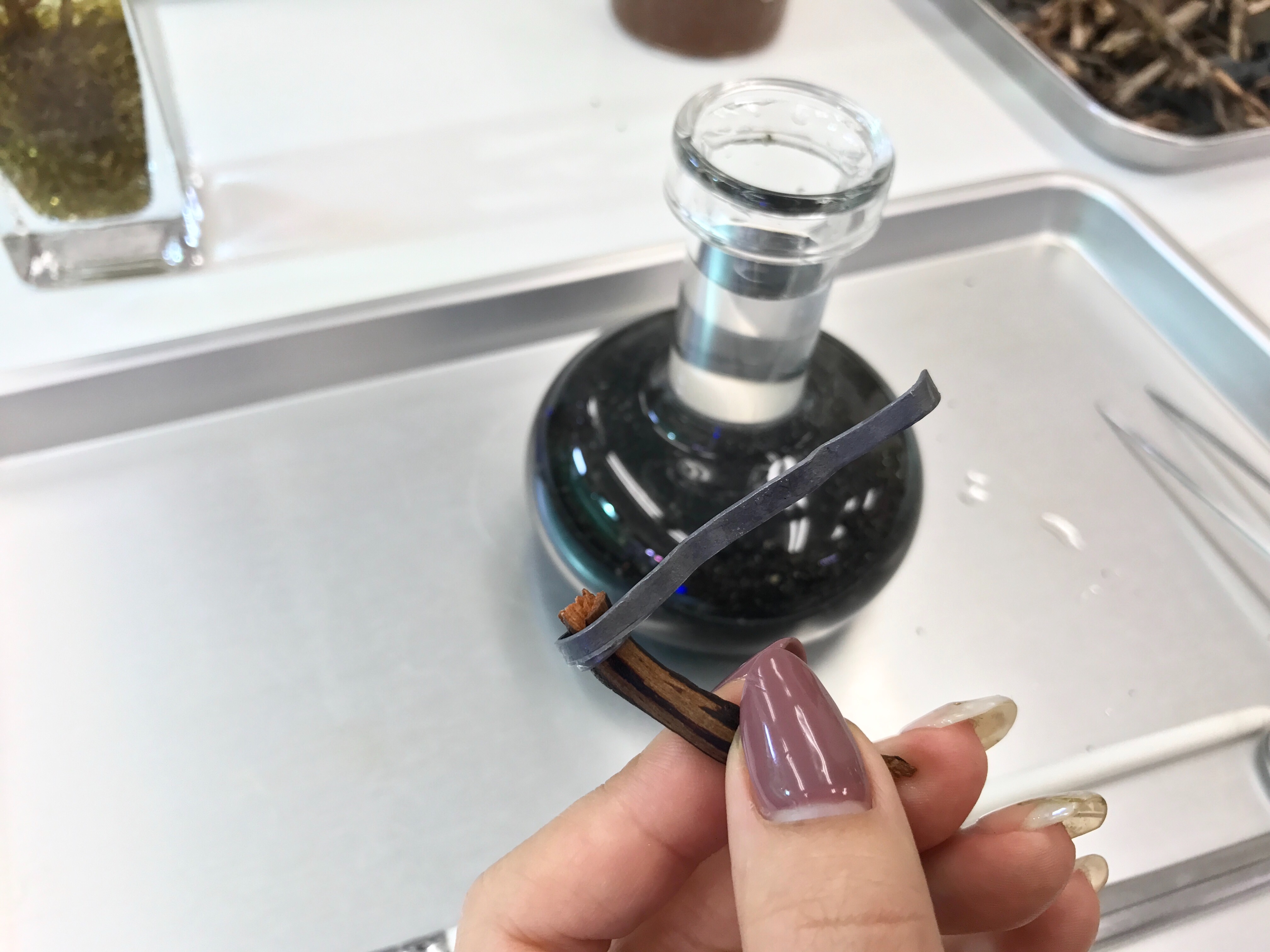 f:id:saki0118:20170129232137j:image f:id:saki0118:20170129232137j:image