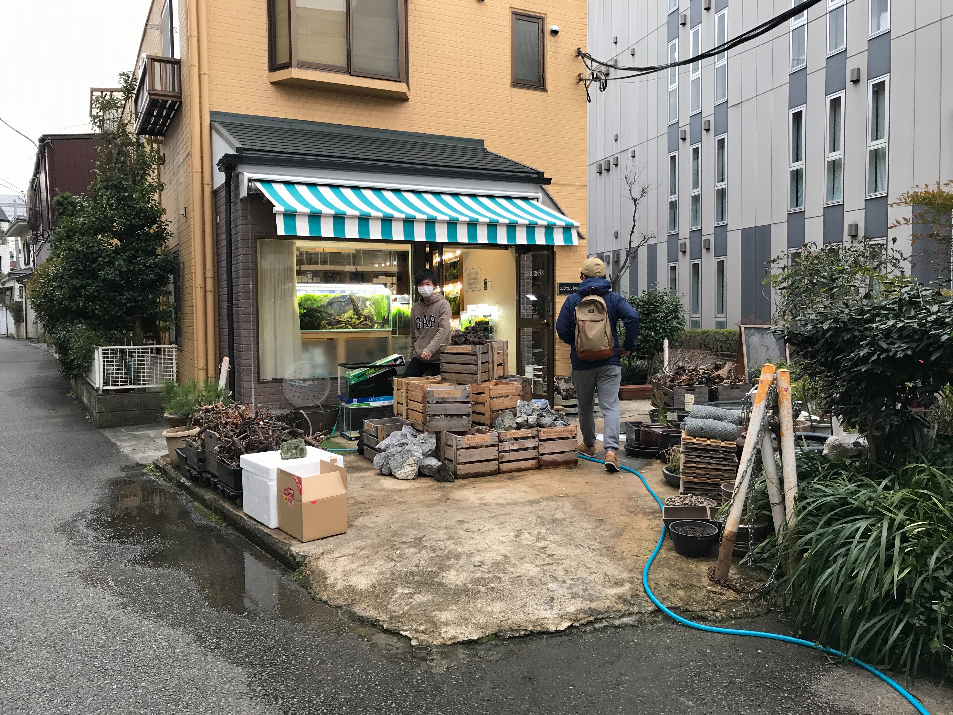 f:id:saki0118:20170129232805j:image f:id:saki0118:20170129232805j:image