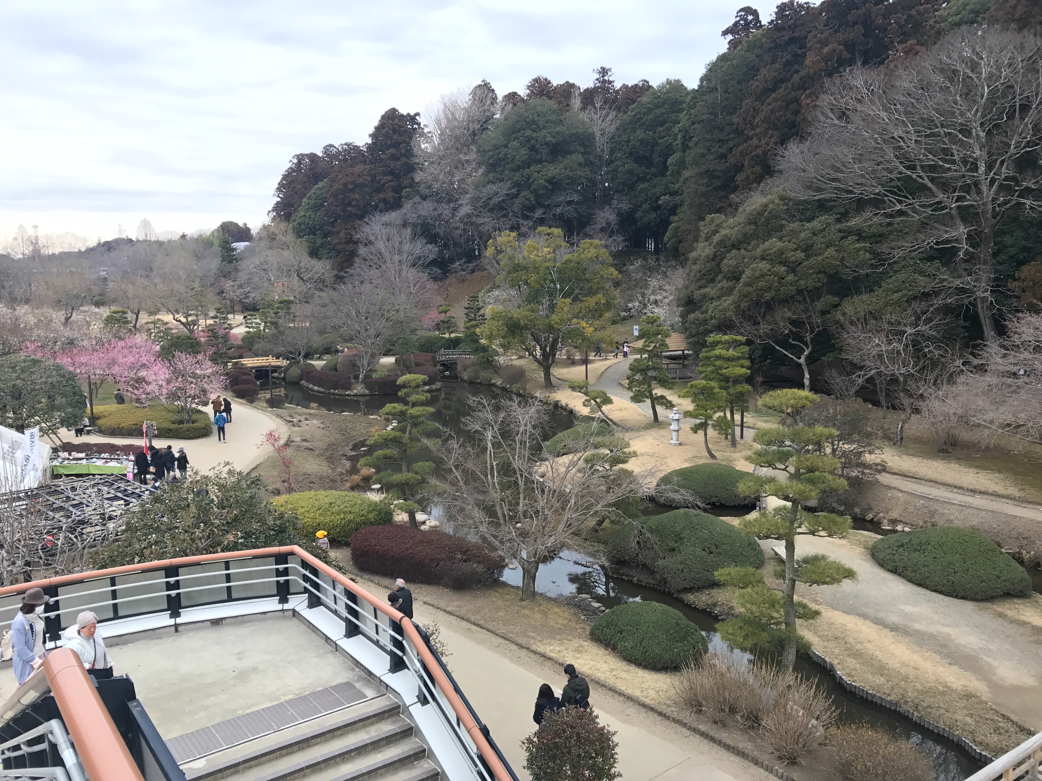 f:id:saki0118:20170221062318j:image f:id:saki0118:20170221062318j:image