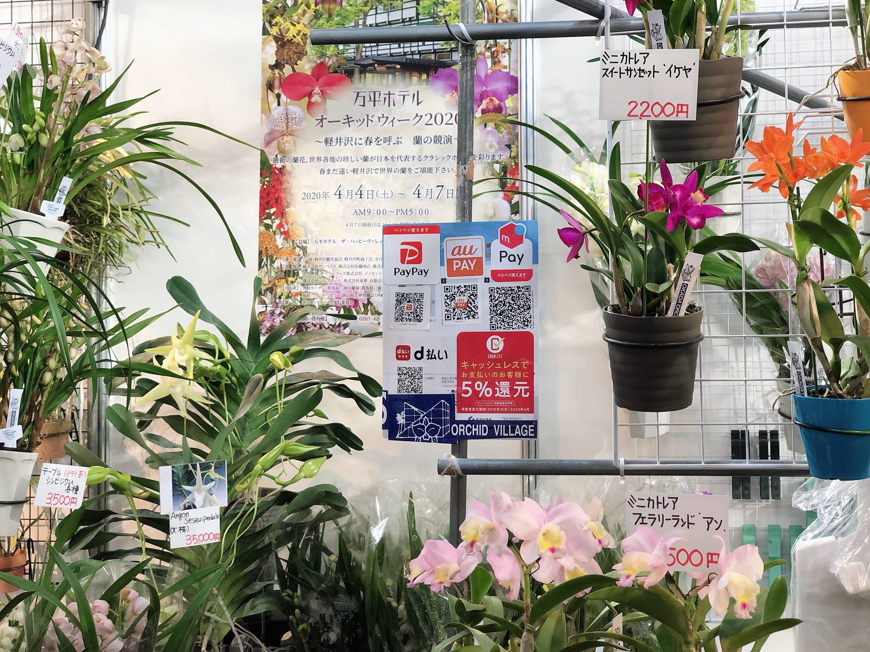 f:id:saki0118:20200219235330j:plain f:id:saki0118:20200219235330j:plain