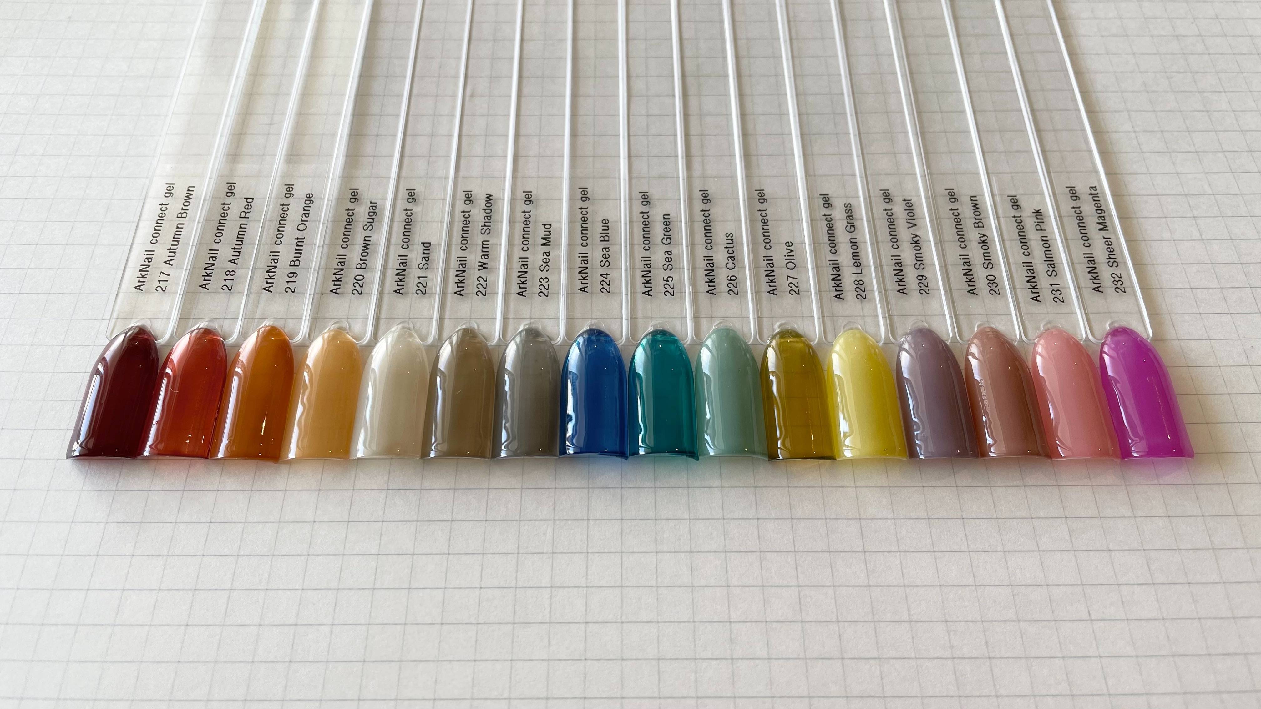 f:id:saki0118:20201231075751j:plain