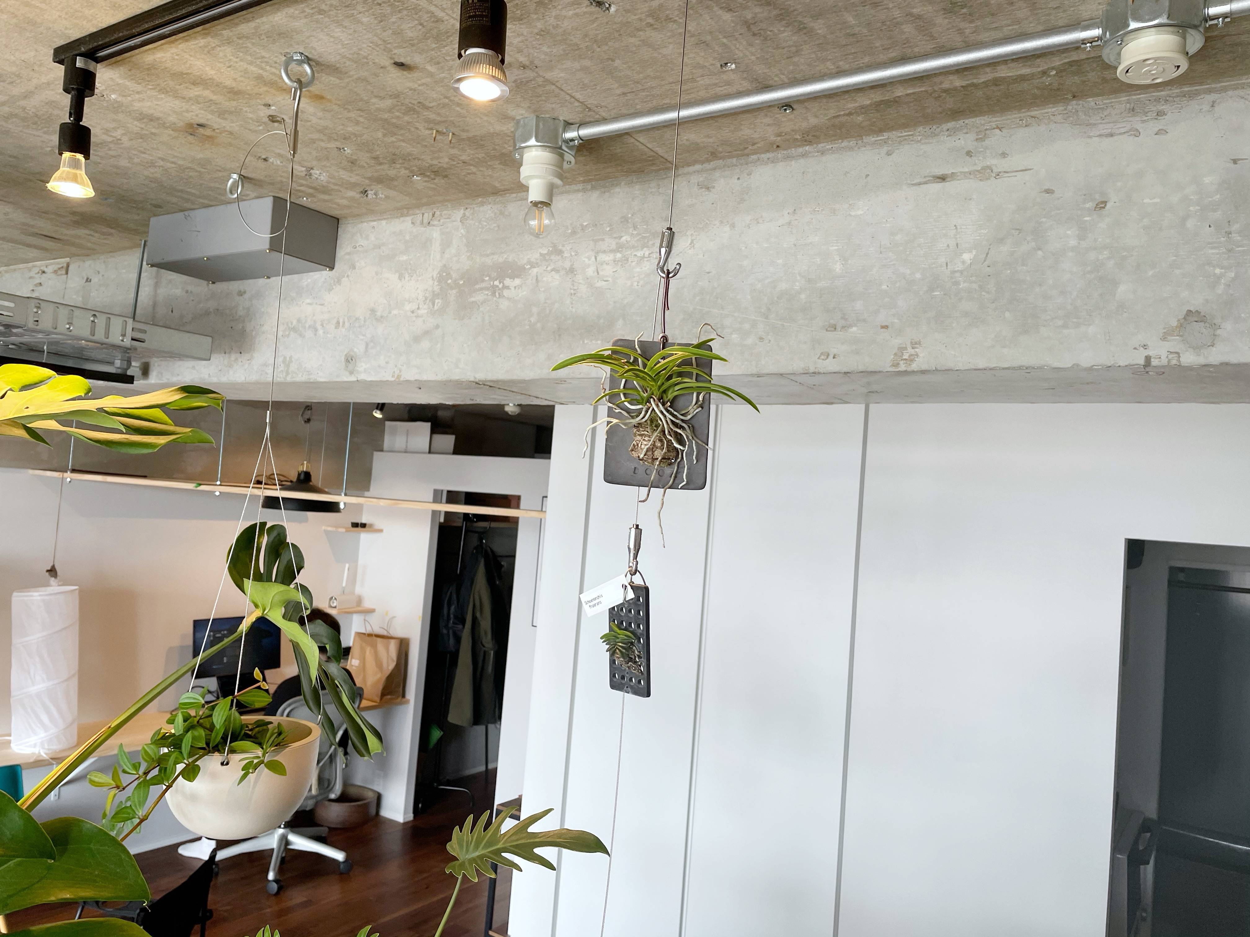 f:id:saki0118:20210329123844j:plain