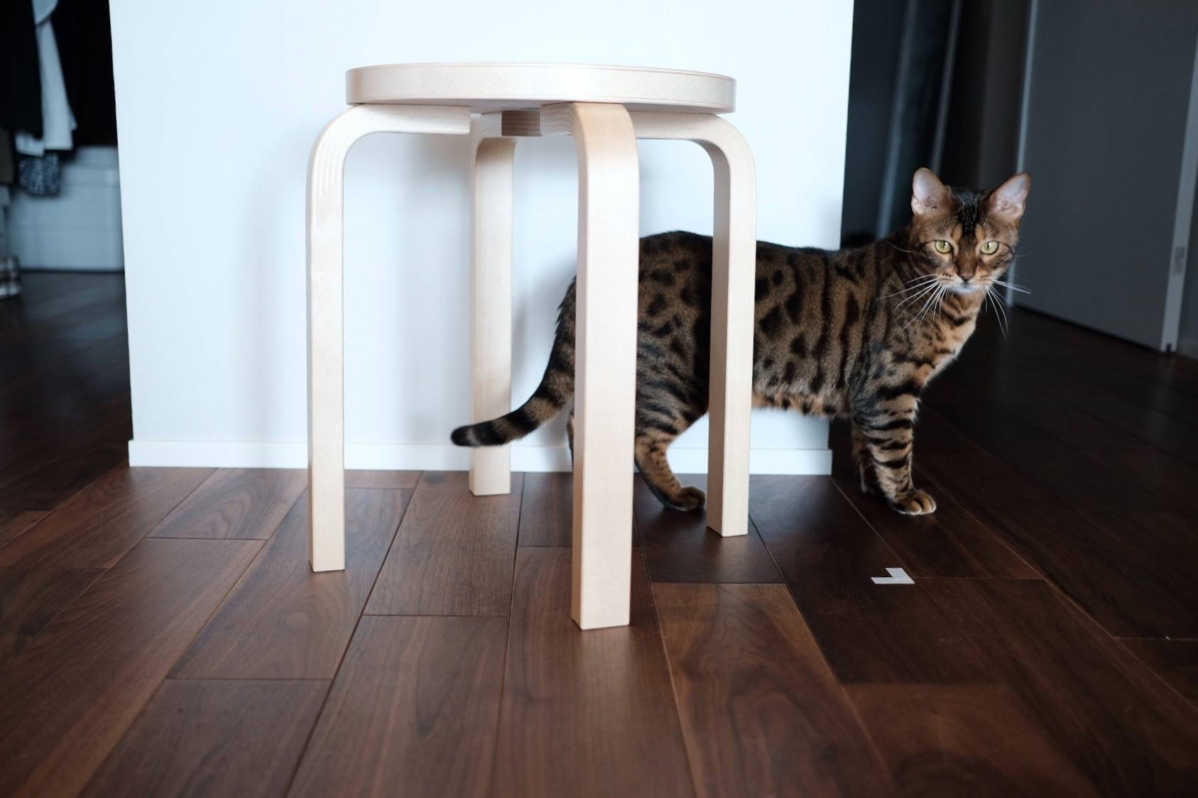 名作スツール〈Vitra エレファントスツール〉と〈Artek Stool