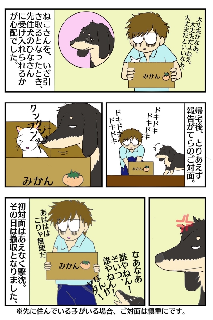 f:id:saki030610:20180729193349j:plain