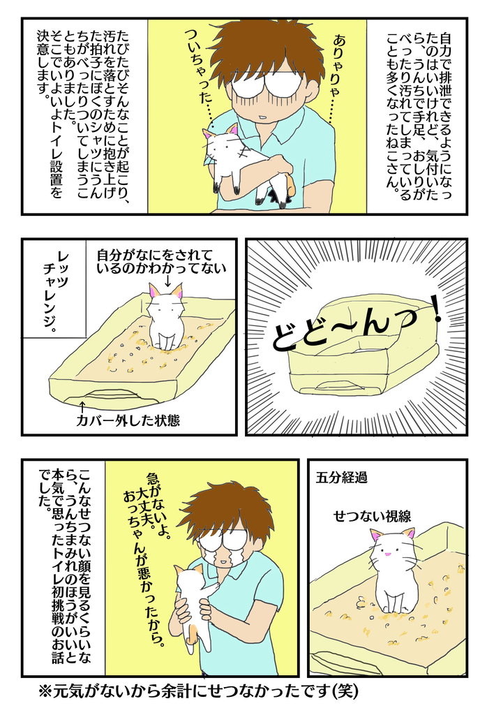 f:id:saki030610:20180904193802j:plain