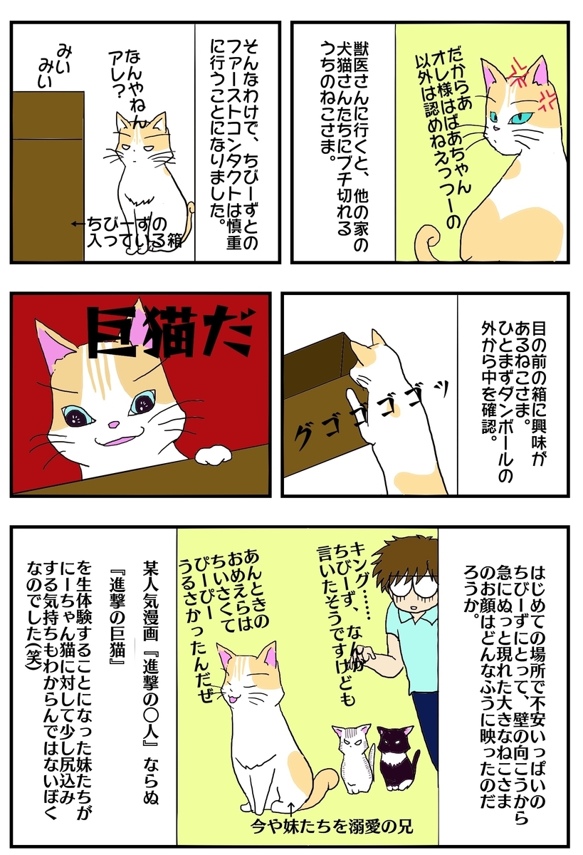 f:id:saki030610:20190820215726j:plain
