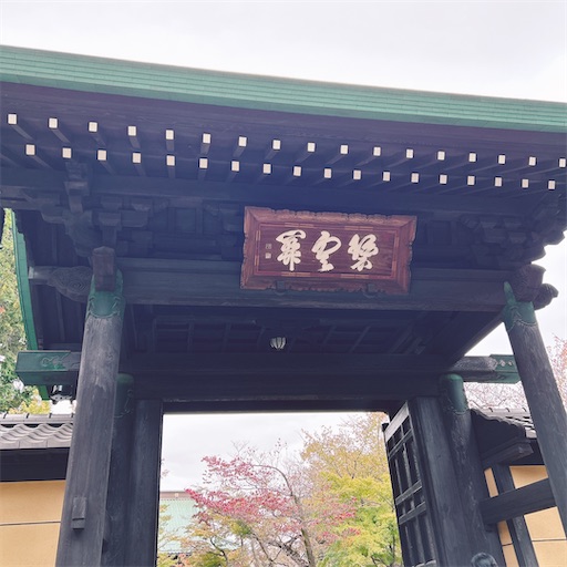f:id:saki731:20231115230253j:image