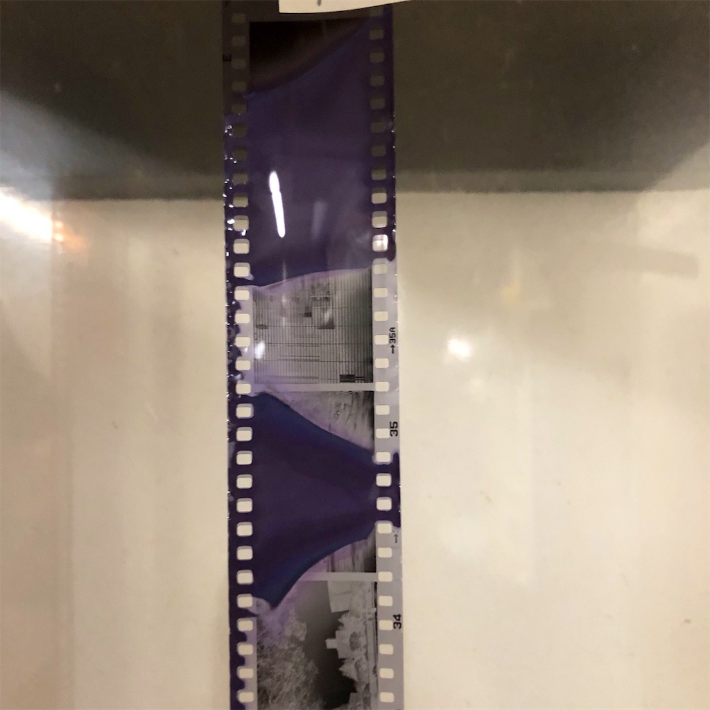 f:id:saki_aji:20190613234943j:image