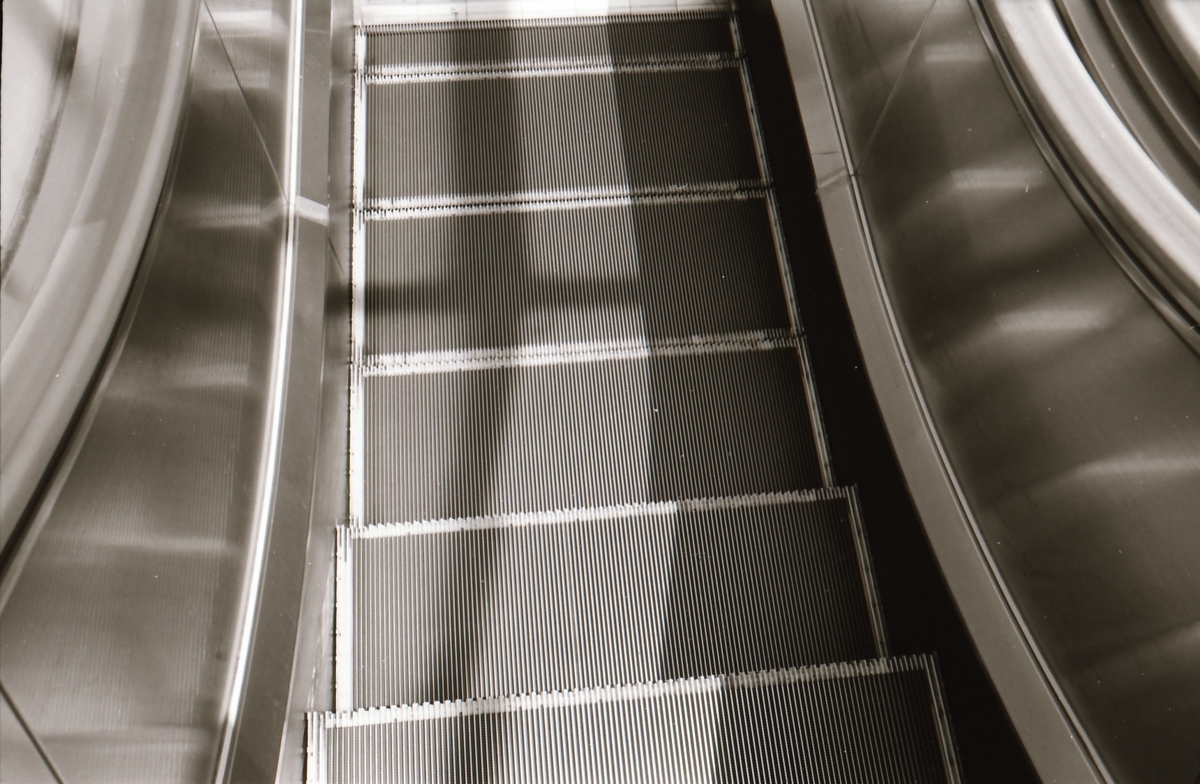 f:id:saki_aji:20190816212916j:plain