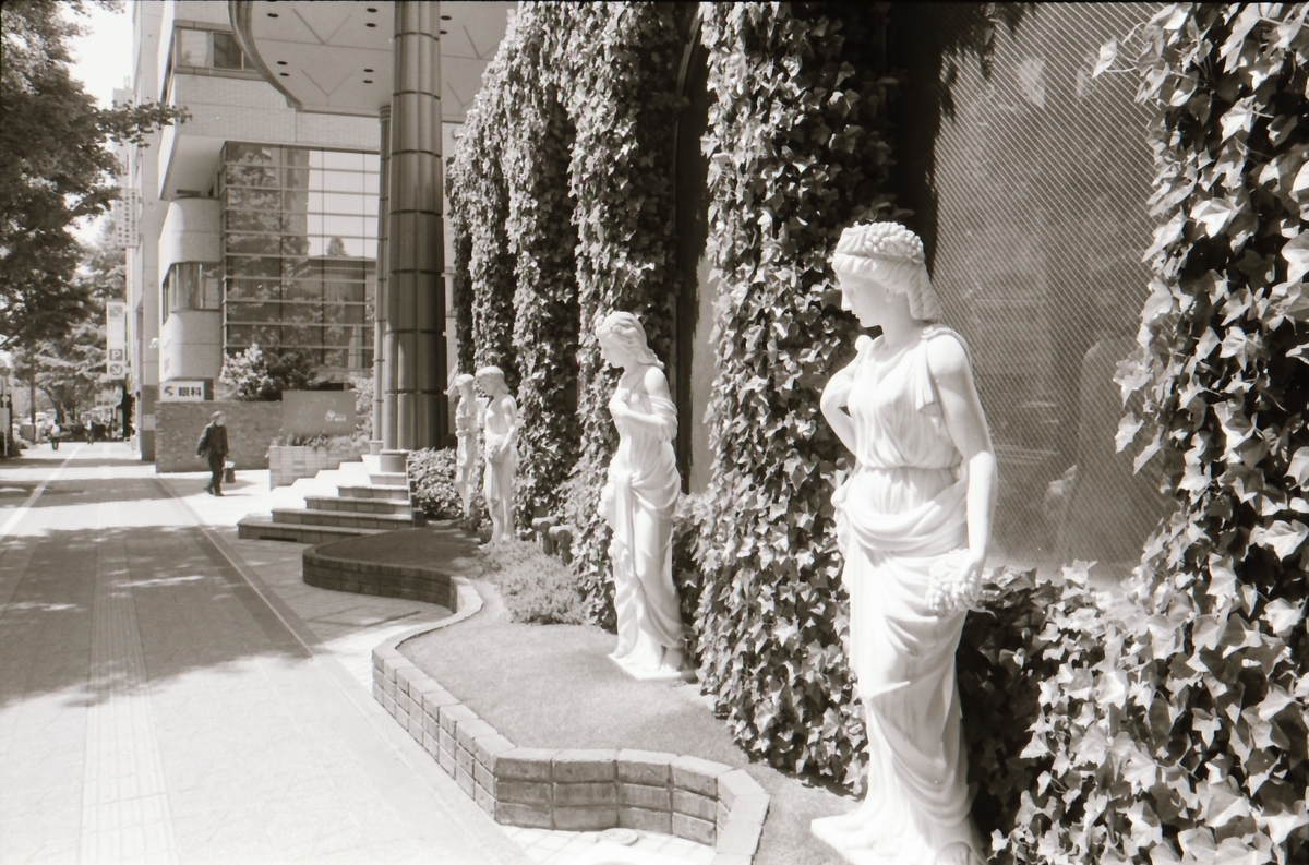 f:id:saki_aji:20190816213157j:plain