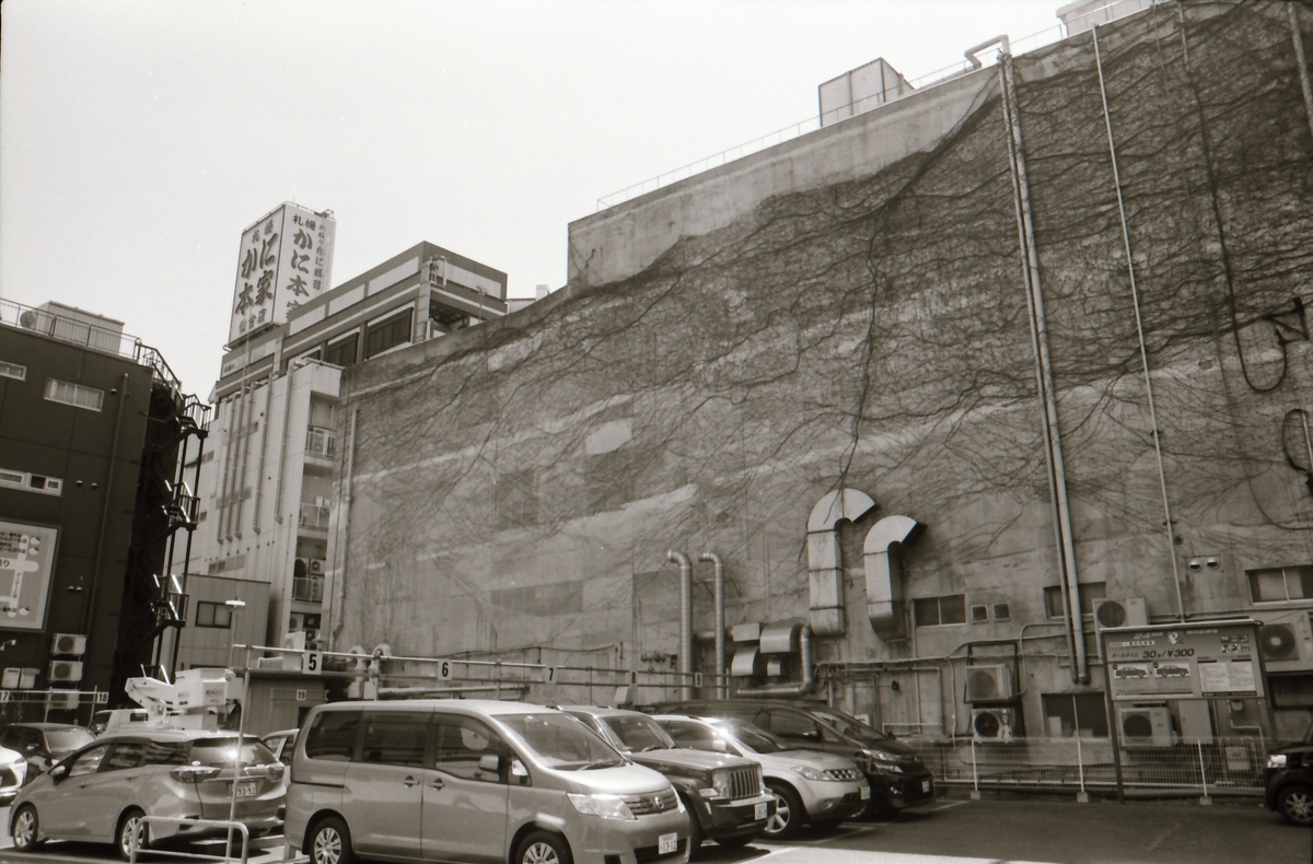 f:id:saki_aji:20190816213201j:plain