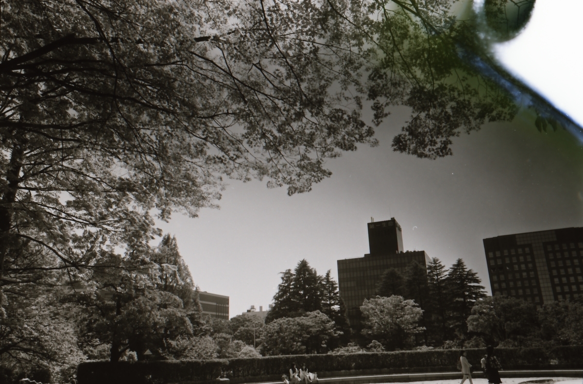 f:id:saki_aji:20190816213219j:plain