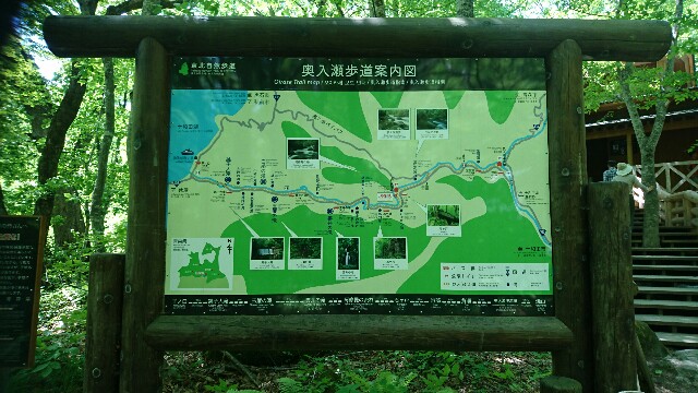 f:id:saki_mass13:20170619190051j:image f:id:saki_mass13:20170619190051j:image