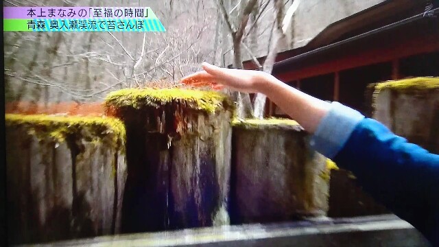 f:id:saki_mass13:20170619190617j:image f:id:saki_mass13:20170619190617j:image