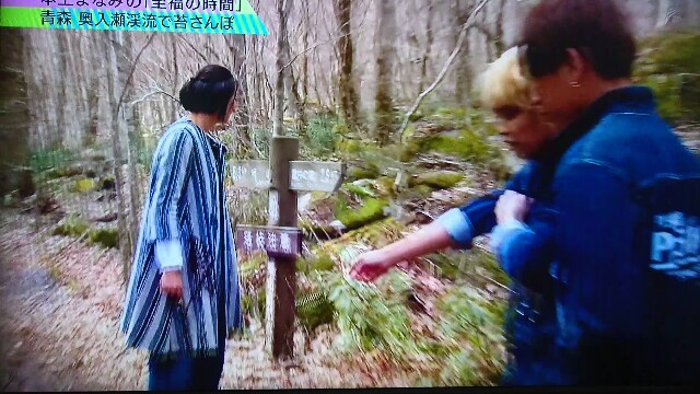 f:id:saki_mass13:20170619190959j:image f:id:saki_mass13:20170619190959j:image