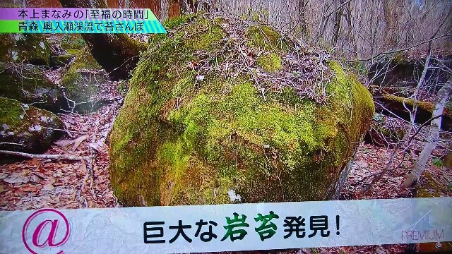 f:id:saki_mass13:20170619191235j:image f:id:saki_mass13:20170619191235j:image