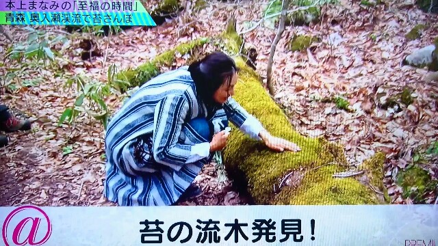 f:id:saki_mass13:20170619191951j:image f:id:saki_mass13:20170619191951j:image