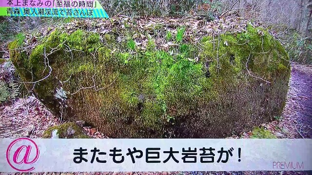 f:id:saki_mass13:20170619192612j:image f:id:saki_mass13:20170619192612j:image