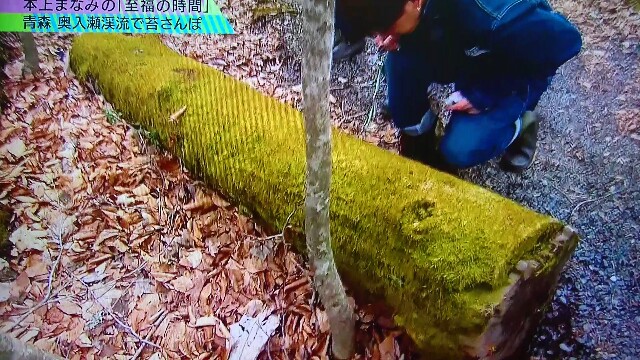 f:id:saki_mass13:20170619193113j:image f:id:saki_mass13:20170619193113j:image