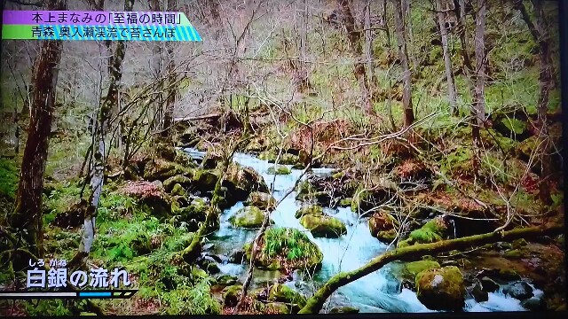 f:id:saki_mass13:20170619195508j:image f:id:saki_mass13:20170619195508j:image