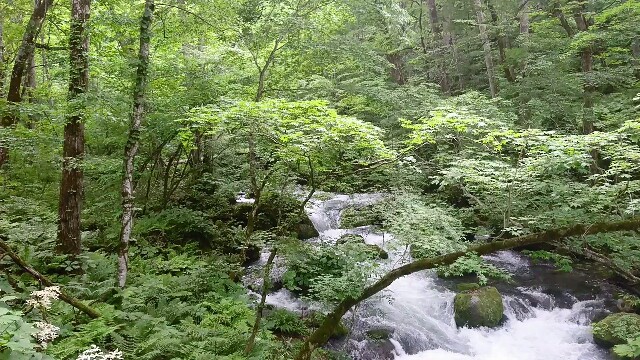 f:id:saki_mass13:20170619195632j:image f:id:saki_mass13:20170619195632j:image