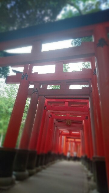 f:id:saki_mass13:20170825214306j:image f:id:saki_mass13:20170825214306j:image