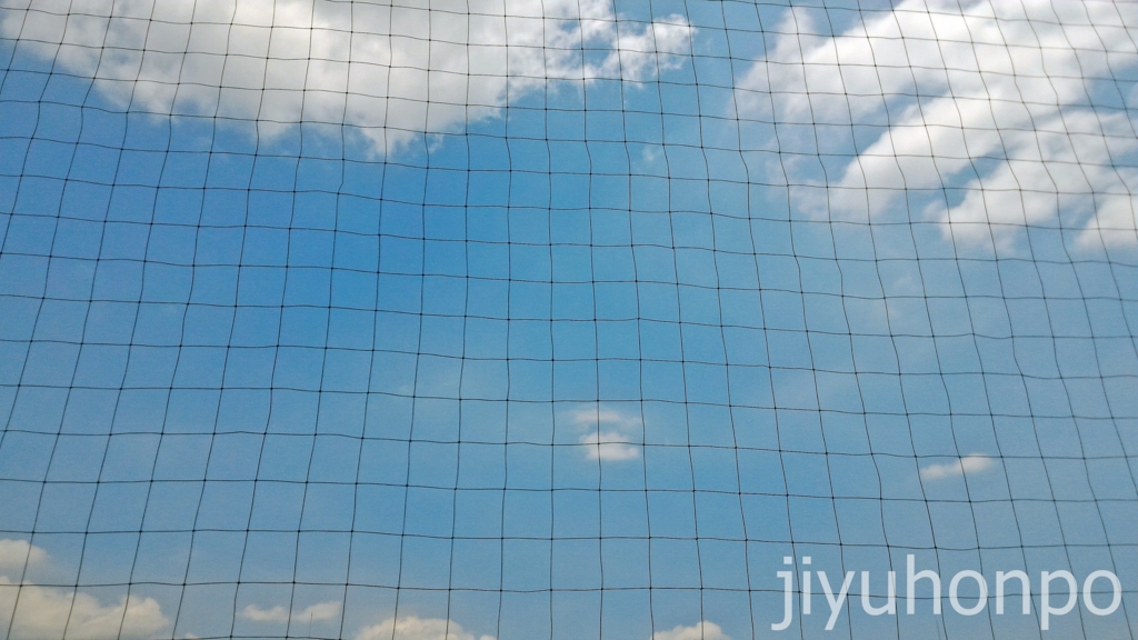 f:id:saki_yayoi:20160730155243j:plain f:id:saki_yayoi:20160730155243j:plain