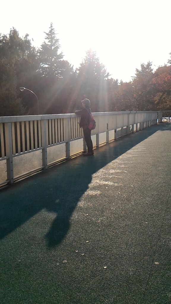 f:id:saki_yayoi:20161125173451j:plain