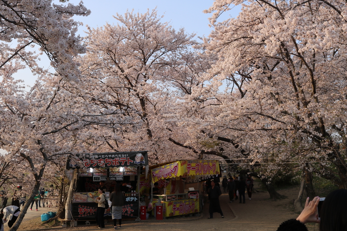 f:id:sakigake3:20190409224147j:plain
