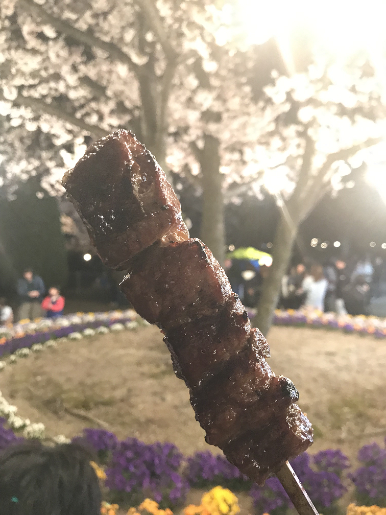 f:id:sakigake3:20190409231831p:plain