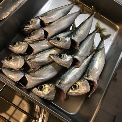 f:id:sakigake3:20190730110128j:plain