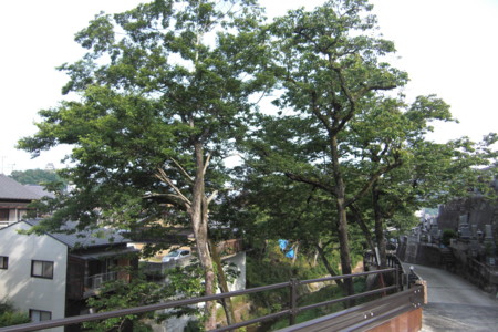 f:id:sakihidemi:20120528080213j:image