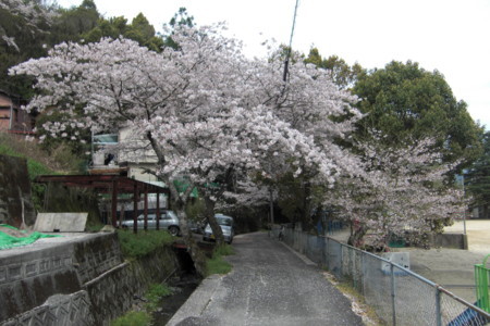 f:id:sakihidemi:20140401102038j:image