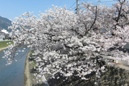 f:id:sakihidemi:20140401135632j:image f:id:sakihidemi:20140401135632j:image