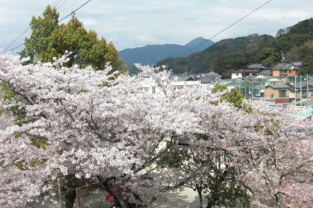 f:id:sakihidemi:20140402140932j:image