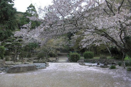 f:id:sakihidemi:20140402161501j:image