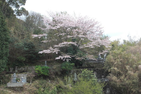 f:id:sakihidemi:20140403153033j:image