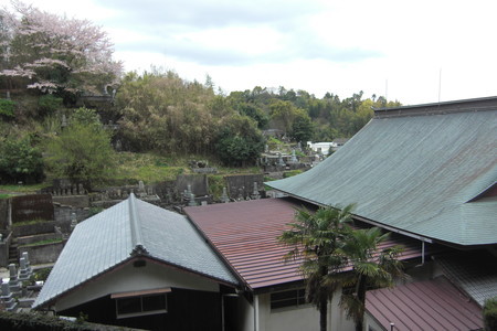 f:id:sakihidemi:20140403154505j:image