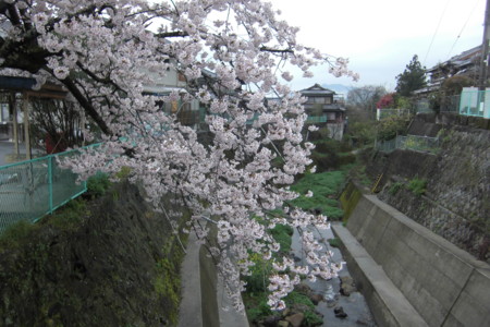 f:id:sakihidemi:20150401091308j:image f:id:sakihidemi:20150401091308j:image