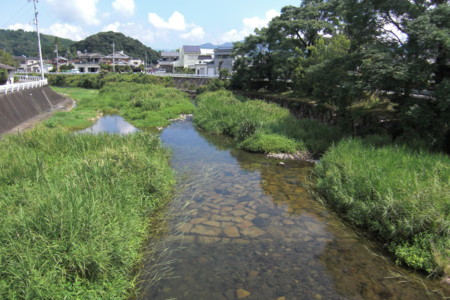 f:id:sakihidemi:20150818104702j:image f:id:sakihidemi:20150818104702j:image