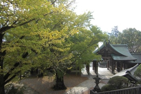 f:id:sakihidemi:20151123092517j:image
