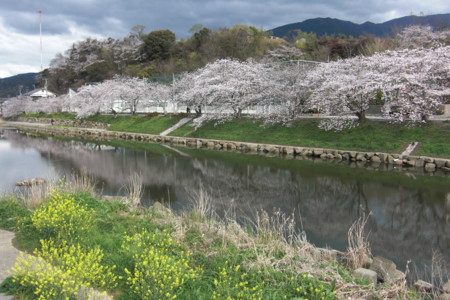 f:id:sakihidemi:20160402152514j:image